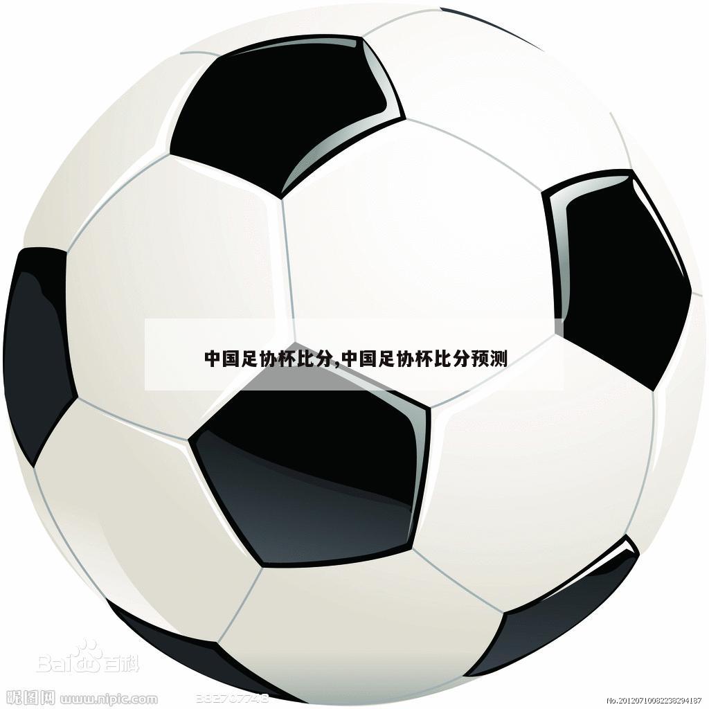 中国足协杯比分,中国足协杯比分预测